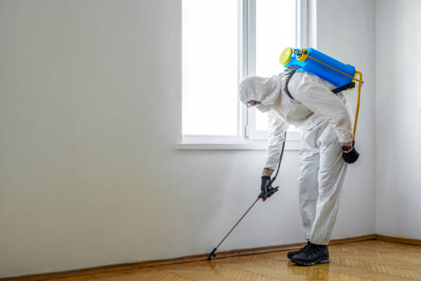 Best Affordable Pest Control Services  in Mayfair, CA