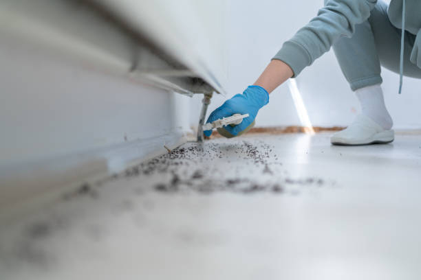 Professional Pest Control in Mayfair, CA